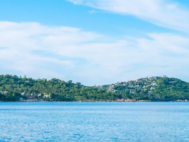 Güzel tropikal plaj ve deniz ile Hindistan cevizi hurma ağacının seyahat ve tatil