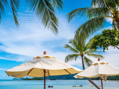 Hindistan cevizi hurma ağacı ile deniz okyanus seyahat ve tatil için mavi gökyüzü arka plan üzerinde Beyaz şemsiye