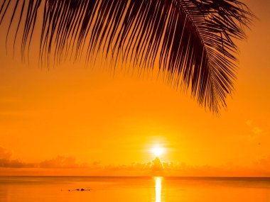 Güzel tropikal plaj deniz ve okyanus ile Hindistan cevizi hurma ağacı gündoğumu zaman seyahat ve tatil için