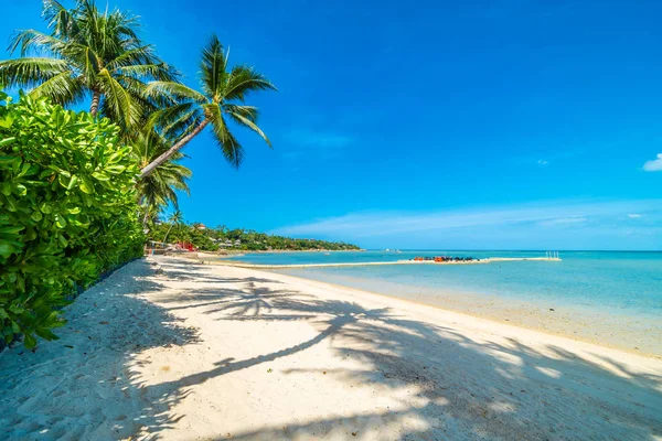 바다와 하늘에 코코넛 나무와 — 스톡 사진