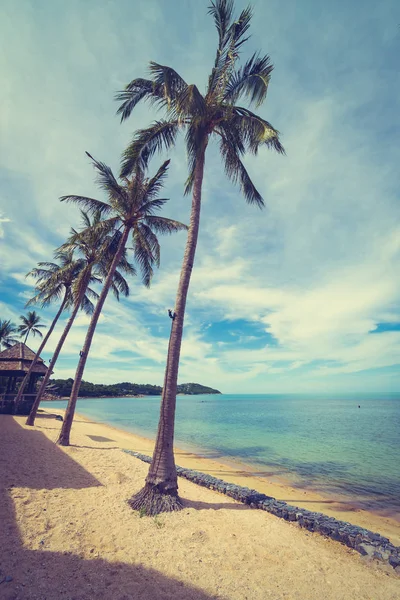 Vacker Tropisk Strand Hav Och Sand Med Coconut Palm Tree — Stockfoto