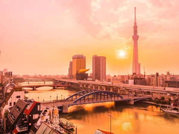 Mimarlık Yapı Tokyo Şehir Japonya Gündoğumu Zaman Çevresinde Ağaç Tokyo — Stok fotoğraf