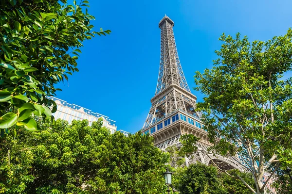 Güzel Eiffel Tower Landmark Paris Oteli Macau City Resort — Stok fotoğraf