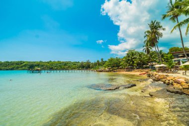 Güzel tropikal plaj ve deniz paradise Island Seyahat ve tatil için Hindistan cevizi hurma ağacı