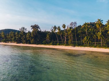 Seyahat ve tatil için adada güzel tropikal plaj ve deniz ağaçları ile havadan görünümü