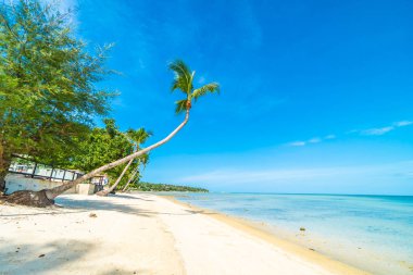 Güzel tropikal plaj deniz ve kum mavi gökyüzü ve beyaz bulut seyahat ve tatil için Hindistan cevizi hurma ağacı ile