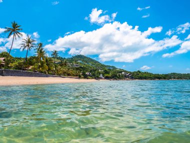 Güzel tropikal plaj ve deniz ile Hindistan cevizi hurma ağacının seyahat ve tatil