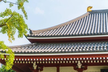 Güzel mimari Sensoji Tapınağı inşa ünlü ziyaret asakusa alan tokyo Japonya için yerdir
