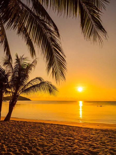 Schöner Tropischer Strand Meer Und Ozean Mit Kokospalmen Bei Sonnenaufgang — Stockfoto