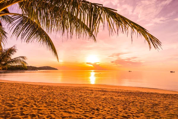 Закате Пляже Острова Парадизе Море Кокосовой Пальмой Отдыха — стоковое фото