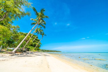 Güzel tropikal plaj deniz ve kum mavi gökyüzü ve beyaz bulut seyahat ve tatil için Hindistan cevizi hurma ağacı ile