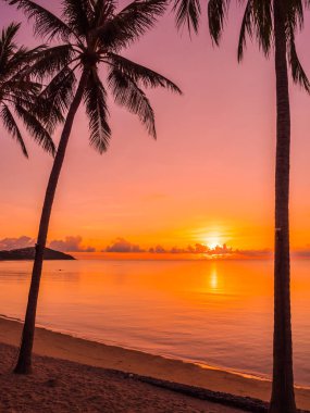 Güzel tropikal plaj deniz ve okyanus ile Hindistan cevizi hurma ağacı gündoğumu zaman seyahat ve tatil için