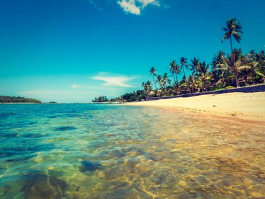 Güzel tropikal plaj ve deniz ile Hindistan cevizi hurma ağacının seyahat ve tatil