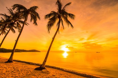 Günbatımı zaman tropik cennet ada plaj ve deniz ile Hindistan cevizi palmiye ağacı üzerinde tatil ve tatil için