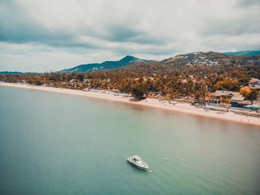 Güzel tropikal plaj ve deniz hurma ve koh samui Adası seyahat ve tatil için diğer ağacında havadan görünümü