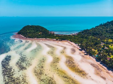 Seyahat ve tatil için adada güzel tropikal plaj ve deniz ağaçları ile havadan görünümü