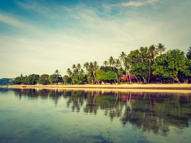 Güzel tropikal plaj ve deniz ile Hindistan cevizi hurma ağacının seyahat ve tatil