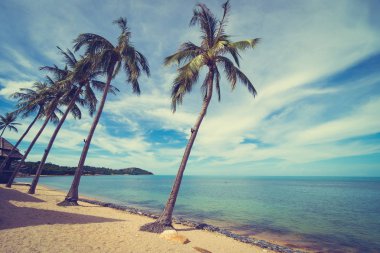 Güzel tropikal plaj deniz ve kum mavi gökyüzü ve beyaz bulut seyahat ve tatil için Hindistan cevizi hurma ağacı ile