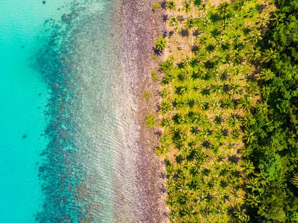 Belle Vue Aérienne Plage Mer Avec Cocotier Dans Île Paradisiaque — Photo