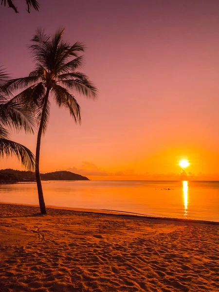 Море Океан Кокосовой Пальмой Восходе Солнца Путешествий Отдыха — стоковое фото