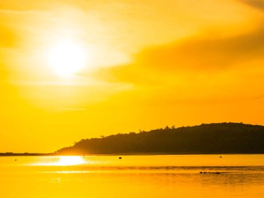 Güzel tropikal plaj deniz ve okyanus ile Hindistan cevizi hurma ağacı gündoğumu zaman seyahat ve tatil için