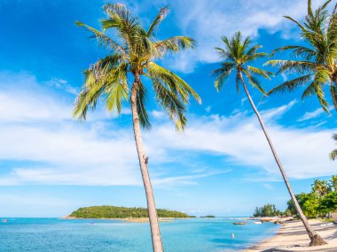 Güzel tropikal plaj ve deniz ile Hindistan cevizi hurma ağacının seyahat ve tatil