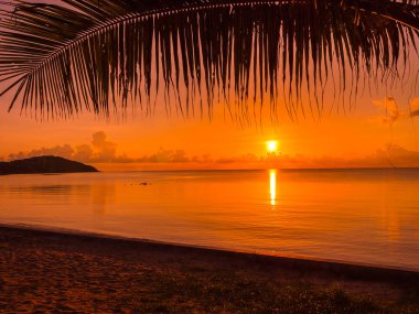 Güzel tropikal plaj deniz ve okyanus ile Hindistan cevizi hurma ağacı gündoğumu zaman seyahat ve tatil için