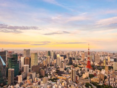 Japonya'da günbatımı zaman şehirde bina mimari ve tokyo kule güzel havadan görünümü