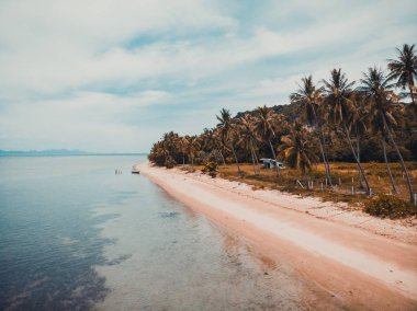 Güzel tropikal plaj ve deniz hurma ve koh samui Adası seyahat ve tatil için diğer ağacında havadan görünümü