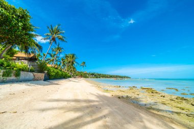 Güzel tropikal plaj deniz ve kum mavi gökyüzü ve beyaz bulut seyahat ve tatil için Hindistan cevizi hurma ağacı ile