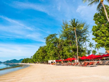 Güzel tropikal plaj ve deniz ile Hindistan cevizi hurma ağacının seyahat ve tatil