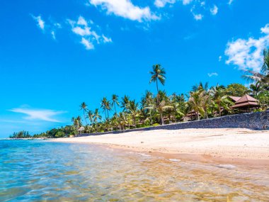 Güzel tropikal plaj ve deniz ile Hindistan cevizi hurma ağacının seyahat ve tatil