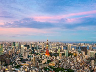 Japonya'da günbatımı zaman şehirde bina mimari ve tokyo kule güzel havadan görünümü