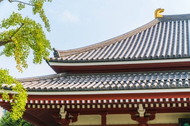 Güzel mimari Sensoji Tapınağı inşa ünlü ziyaret asakusa alan tokyo Japonya için yerdir