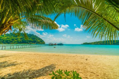 Güzel tropikal plaj ve deniz paradise Island Seyahat ve tatil için Hindistan cevizi hurma ağacı