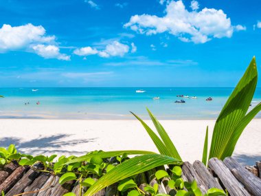 Güzel tropikal plaj deniz ve okyanus seyahat etmek ve kopya alanı ile tatil için