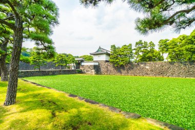 Güzel eski mimari İmparatorluk Sarayı Kalesi hendek ve Tokyo şehir Japonya köprüsünde