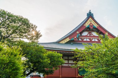 Güzel mimari Sensoji Tapınağı inşa ünlü ziyaret asakusa alan tokyo Japonya için yerdir
