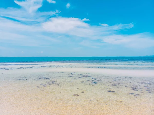 Вид Воздуха Красивый Тропический Пляж Море Деревьями Острове Путешествий Отдыха — стоковое фото