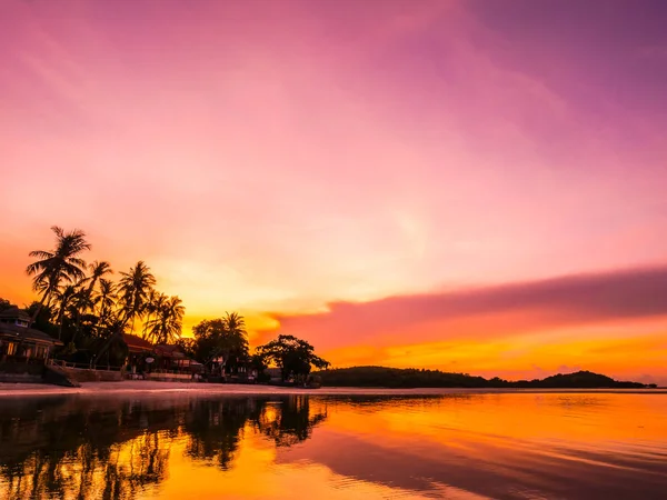 Vacker Tropisk Strand Havet Och Havet Med Coconut Palm Tree — Stockfoto