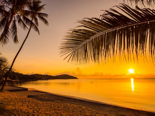 Hermosa Playa Tropical Mar Océano Con Palmera Coco Amanecer Para —  Fotos de Stock