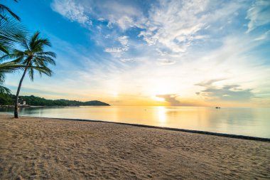 Günbatımı zaman tropik cennet ada plaj ve deniz ile Hindistan cevizi palmiye ağacı üzerinde tatil ve tatil için