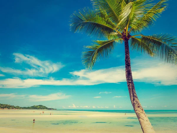 Bela Praia Tropical Mar Com Coqueiro Para Viagens Férias — Fotografia de Stock