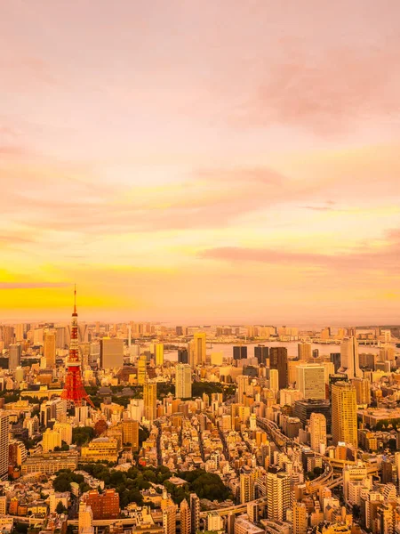 Japonya'da günbatımı zaman şehirde bina mimari ve tokyo kule güzel havadan görünümü