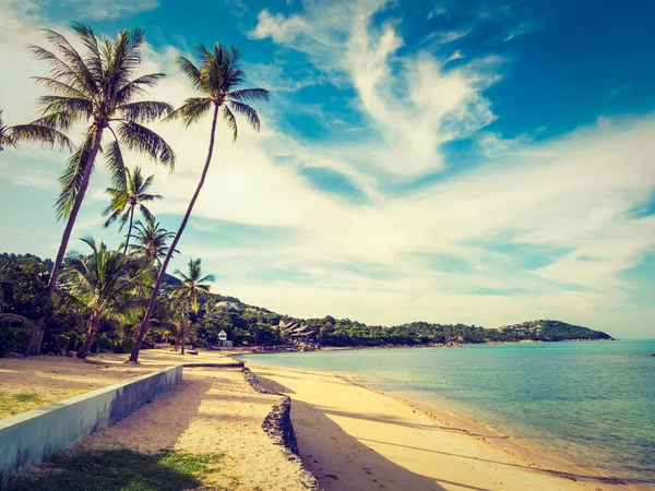 Beautiful Tropical Beach Sea Coconut Palm Tree Travel Vacation Royalty Free Stock Images