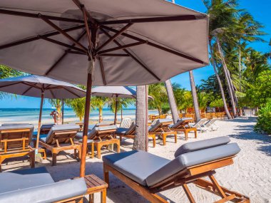 Şemsiye ve sandalyenin üstüne Hindistan cevizi hurma ağacının seyahat ve tatil etrafında mavi gökyüzü ile plaj ve okyanus