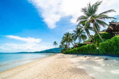 Güzel tropikal plaj deniz ve kum mavi gökyüzü ve beyaz bulut seyahat ve tatil için Hindistan cevizi hurma ağacı ile