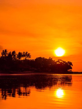 Güzel tropikal plaj deniz ve okyanus ile Hindistan cevizi hurma ağacı gündoğumu zaman seyahat ve tatil için