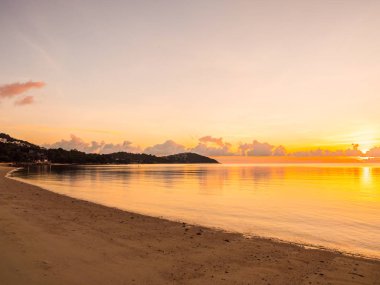 Güzel tropikal plaj deniz ve okyanus ile Hindistan cevizi hurma ağacı gündoğumu zaman seyahat ve tatil için