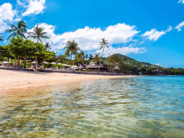 Güzel tropikal plaj ve deniz ile Hindistan cevizi hurma ağacının seyahat ve tatil